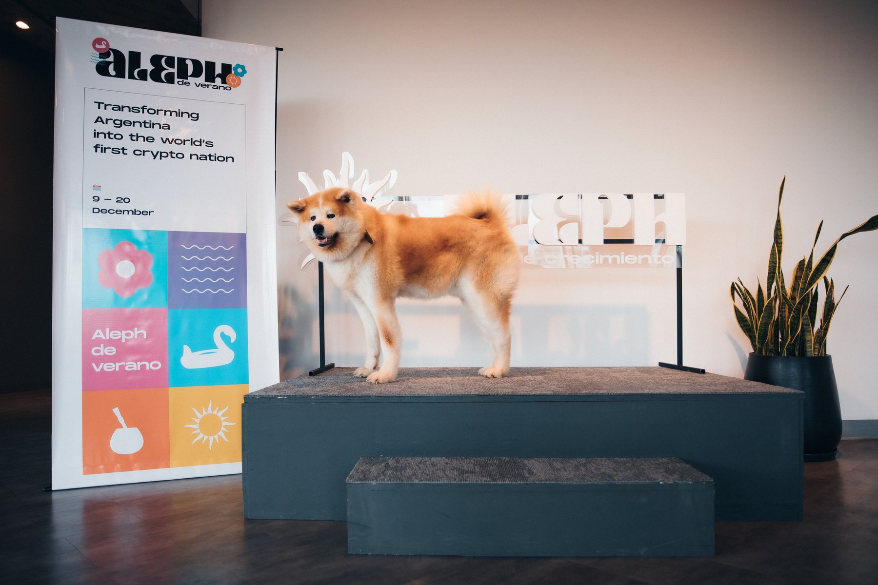 The pop-up city welcomed visitors of all kinds